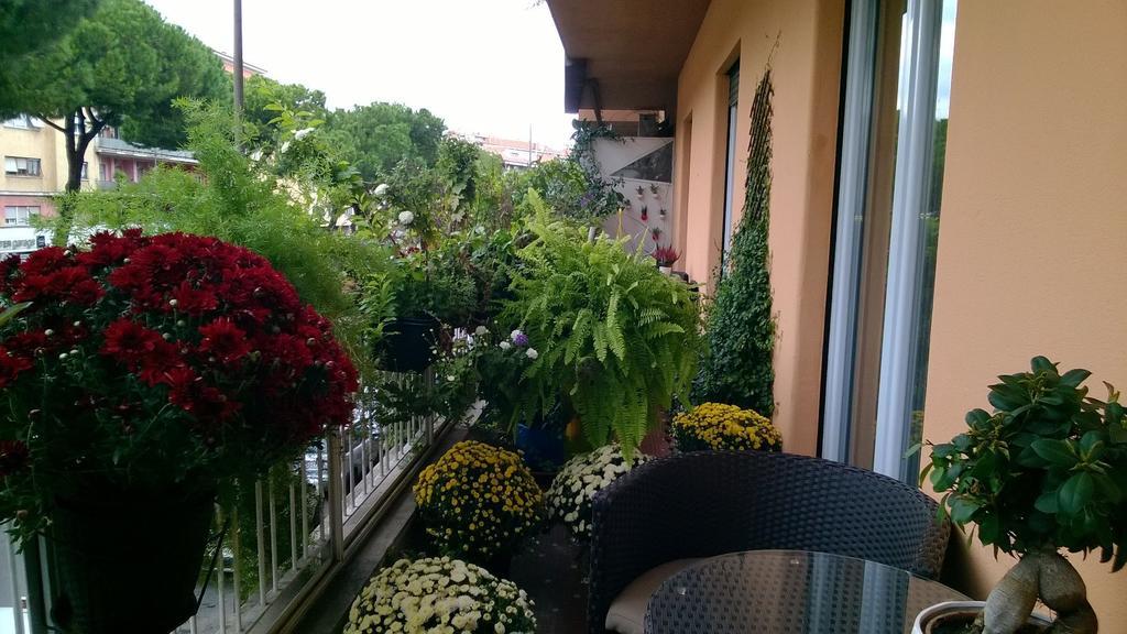Affittacamere Gregorio Vii Luxury
